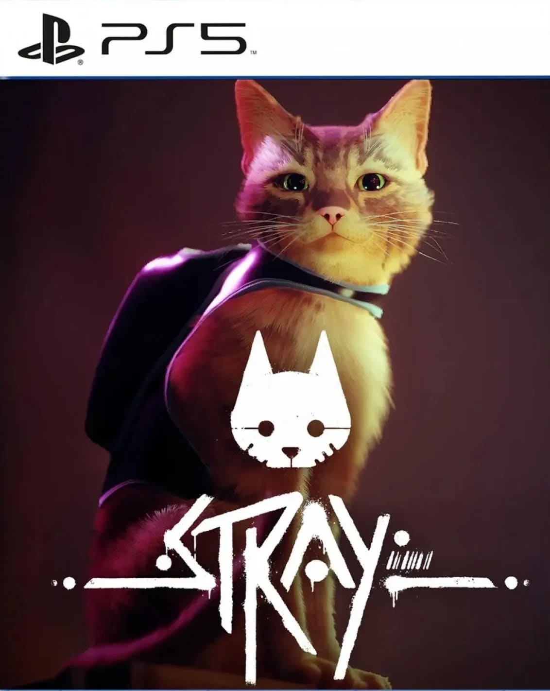 Stray
portada